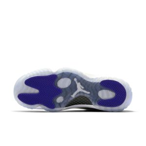 Air Jordan 11 Retro “Concord”