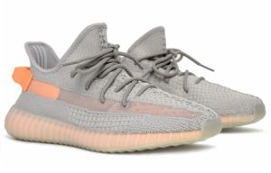 Adidas Yeezy Boost 350 V2 “True Form”